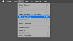 گزینه Move Item Here