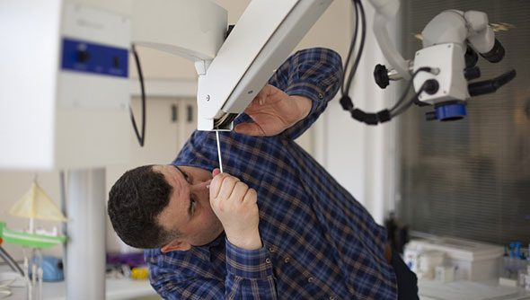 بازار کار تعمیرات تجهیزات پزشکی