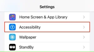 روی گزینه «Accessibility» ضربه بزنید.