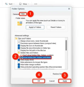 گزینه ای برای نمایش فایل های مخفی برجسته شده در پنجره گزینه های پوشه.