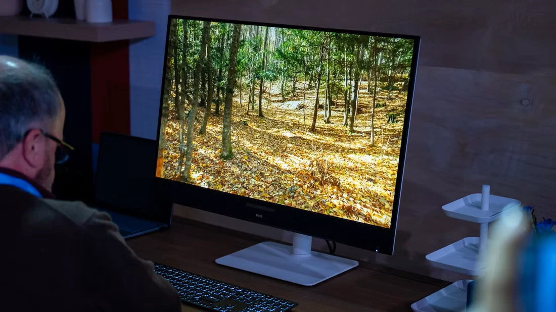 مردی در حال نگاه کردن به یک مانیتور