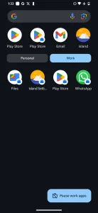 کشو برنامه Android که نمایه کاری جدید ایجاد شده با Island را نشان می‌دهد.