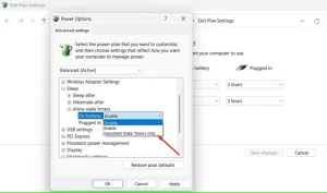 گزینه مهم Wake Timers Only در کنترل پنل.