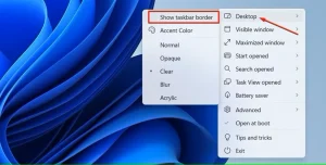 نمایش گزینه Taskbar Border در تنظیمات TranslucentTB.