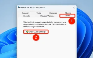 «Suota» و «Show Quota Settings» در پنجره «Properties» درایو برجسته شدهاند.
