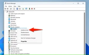 "Update Driver" برای یک آداپتور گرافیکی در Device Manager برجسته شده است.