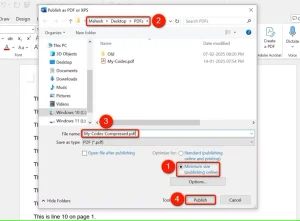 گزینه های مختلف در پنجره "انتشار به عنوان PDF یا XPS" در Microsoft Word برجسته شده است.