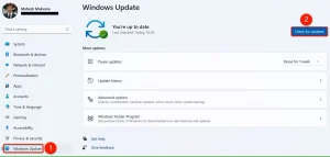 "Windows Update" و "Check for Updates" در تنظیمات برجسته شده است.