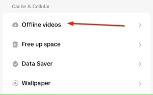تب ویدیوهای آفلاین در تنظیمات TikTok