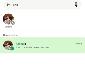 انتخاب تماس برای ذکر WhatsApp.-1