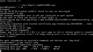 نصب بسته xorg با pkg در کنسول FreeBSD.