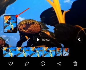 قاب جدید گرفته شده از ویدیو کلیپ عکس متحرک.