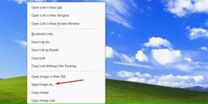 گزینه Save Image As در فایرفاکس.