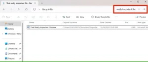 جستجوی فایل در سطل بازیافت در ویندوز.