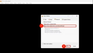 "Please Enter a Network URL" و "Play" در پنجره "Open Media" برجسته شده است.