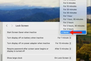 اسکرین شات تنظیمات «Start Screen Saver when inactive» در مک بوک با فلش در کنار گزینه Never.
