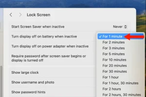 اسکرین شات از گزینه Turn Display off on battery در تنظیمات صفحه نمایش مک بوک.