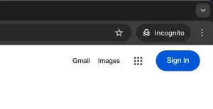 حالت ناشناس در کروم.