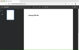 یک فایل PDF در گوگل کروم