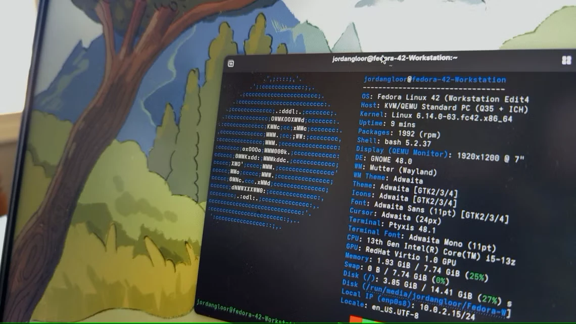 فدورا روی لپ تاپ