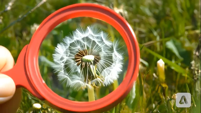 fill تولید شده توسط هوش مصنوعی.